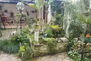 Magnoliia Guest house, Sukhumi