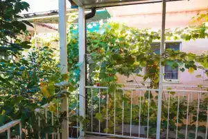 Moskvichka Guest house, Feodosiya