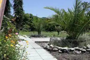 Hotel Zolotaya Ribka, Pitsunda