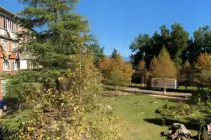 Mini- Platan Guest house, Pitsunda