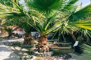 Aloksi Guest house, Candripsh