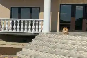 Aristokrat Guest house, Novofedorivka