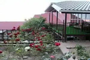 Guest House Liza, Lazarevskoye