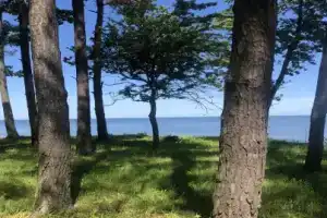 Dom na beregu Baltiyskogo morya Cottage, Kulikovo