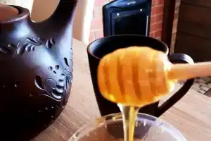 Banya Boyaryinya House, Zaokskiy