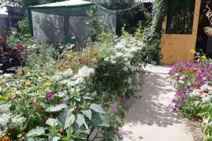 Guest House Olga, Iletsk