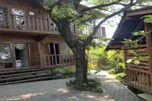 Pican Guest house, Gudauta