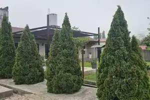 AMRAPHA Mini-hotel, Gudauta