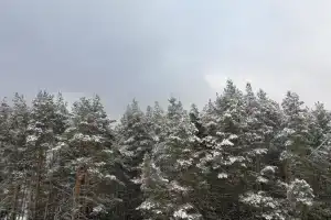 Guest houseik v lesochke, Saransk