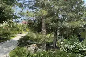 Zhivaya voda Guest house, Shirokaya Balka