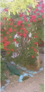 Gostinitsa "Zade" - 12