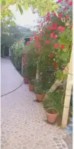 Gostinitsa "Zade" - 13