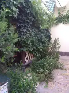 Baza Guest House - 12