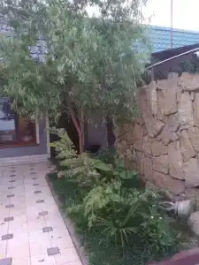 Baza Guest House - 14