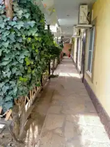 Baza Guest House - 16