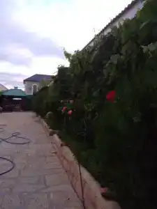 Baza Guest House - 26