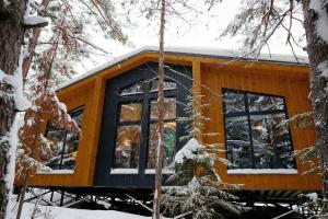 Osobnyakom Guest house, Nechkino