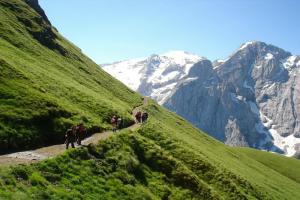 Hotel Medil, Campitello di Fassa