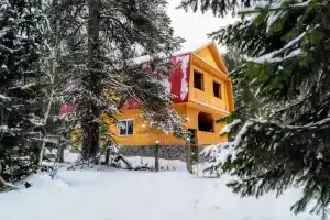 Shishkin les Tourist base, Otnurok
