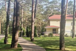 Alesya Hotel, Dory