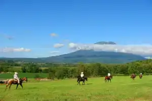 Hotel Kanronomori, Niseko