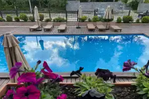 Beliy Dom Private House, Gudauta