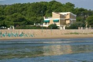 Vela Velo Club, Vieste