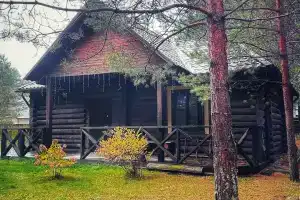 DomFomkino Uyutnyy dom na opushke lesa. Cottage, Pskov