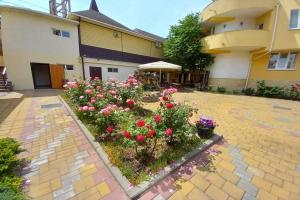 Hostal Dolcevita, Sukko