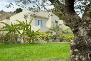 Little Palm Hotel, Olginka