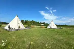 Haskiderevnya Ruzskaya Alyaska Tourist base, Rusa