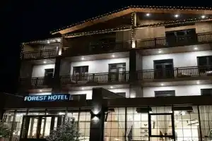 Forest 1961 Hotel & Restaurant, Vanadzor
