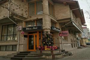Mon Ami Villa, Chisinau