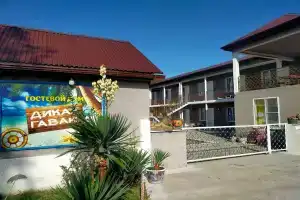 Дикая гавань, Pitsunda