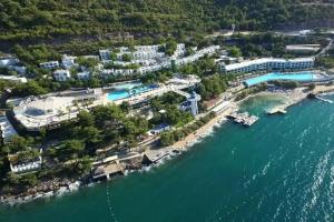 Blue Dreams Resort, Torba