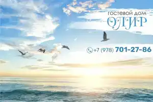 Olir Hotel, Berehove