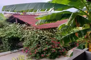 Avokado Hotel, Gudauta