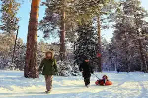 Sosnovyy Bor park-otel, Kirzhach