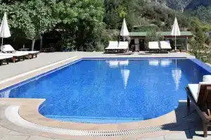 Kabak Avalon, Faralya