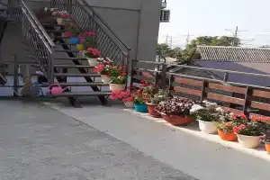 Hotels on first line Hotels on first line