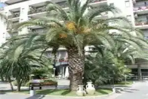 B&B Hotel Bari Rondò, Bari