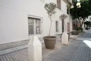 Sir Athens, Athens