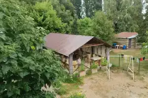 Guest House Parus, Bosteri