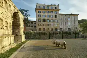 Rhinoceros, Rome