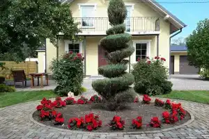 Laskino - Hotels
