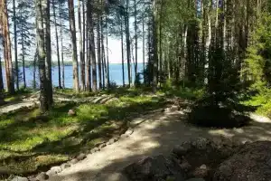 Black Fox Hotel, Muola