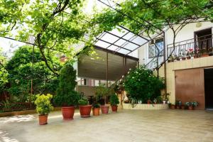 Zvezdochka Guest House, Adler