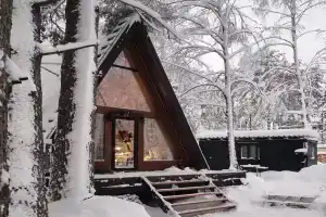 Shishki Park Guest house, Vsevolozhsk