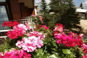 Dafovska Hotel, Pamporovo