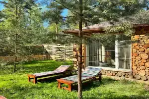 Goosi-Lebedi Wellness Centre Hotel, Noginsk